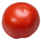 Large Lifelike Tomato 