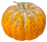 Autumnal Orange Pumpkin - 33cm 
