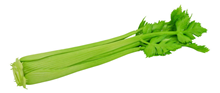 Head of Celery 