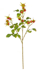 Rosehip Spray - PACK of 12 