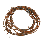 Fake Rusty Barbed Wire 