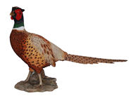 Pheasant 