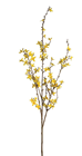 Forsythia Branch - 120cm 