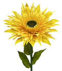 Giant Yellow Double Gerbera Flower 