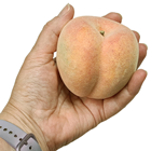 Lifelike Luxury Peach - Weighted 