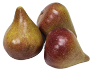 Artificial Fig - Slight Seconds Pk.3 