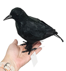 Standing Crow 30cm 