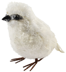 White Winter Bird 