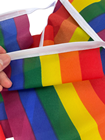 Gay Pride Rainbow Bunting - 6m 