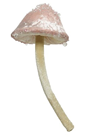 LArge Light Pink Hanging Fantasy Mushroo 